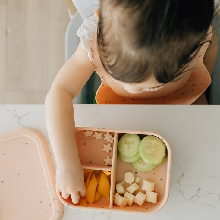 Confetti Bento Box